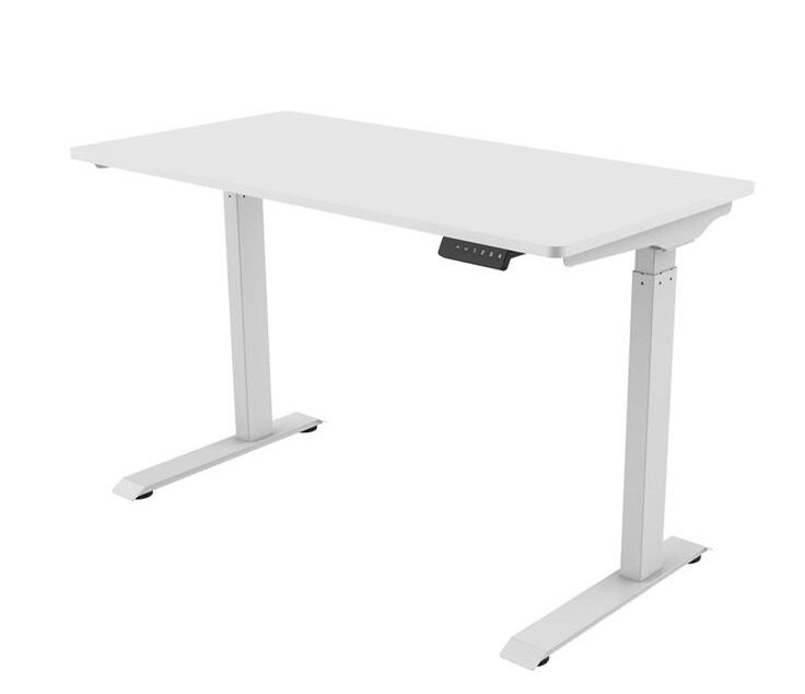 Flexispot Ergonomic Standing Desk Adjustable Height